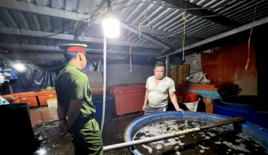 How 3,000 tonnes of chemical-soaked snail meat slipped past Vietnamese authorities for years