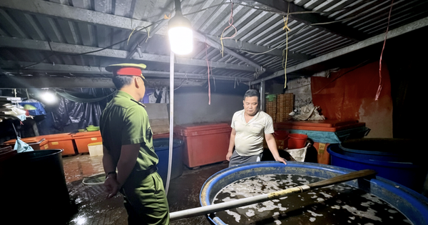 How 3,000 tonnes of chemical-soaked snail meat slipped past Vietnamese authorities for years