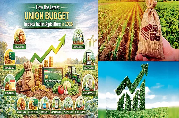 Unlocking India's agricultural growth-from welfare to reform