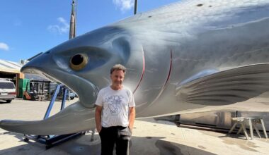 Rakaia’s big salmon restored, miniature version bruised