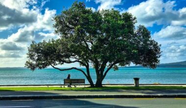 Auckland’s wastewater system still can’t take crap