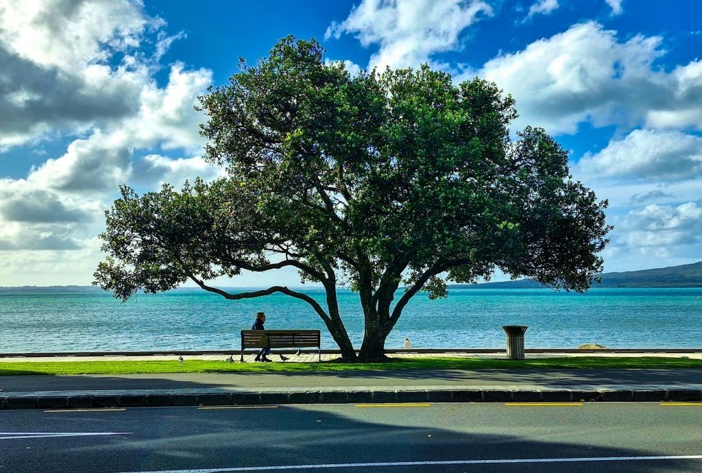 Auckland’s wastewater system still can’t take crap