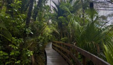 Frustration as Auckland's storm-damaged tracks still shut off