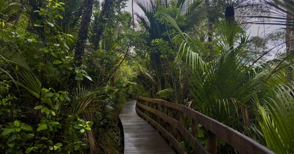Frustration as Auckland's storm-damaged tracks still shut off