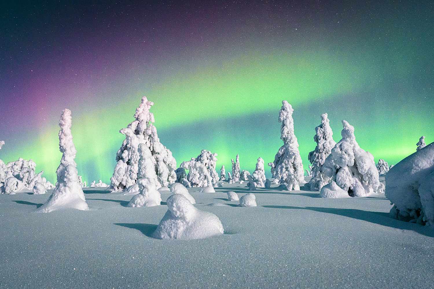 How to Watch the Northern Lights Tonight
