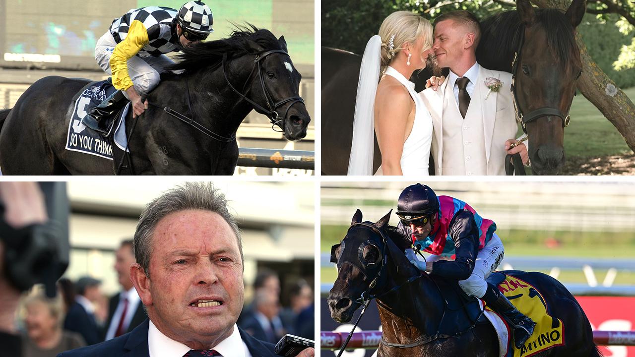 Moments of 2025: The racing industry mourned Robbie Laing (bottom left) and So You Think (top left) as Jamie and Ben Melham (top right) tied the knot and Antino (bottom) marvelled in the Doomben Cup.