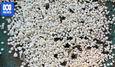 Microplastics triple in Sydney's waterways in three years, report finds