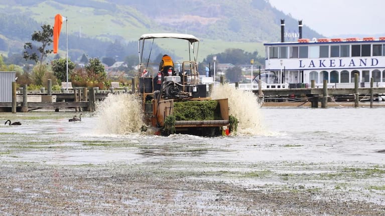 Bay of Plenty Regional Council and Rotorua Lakes Council worked together on the removal of lake weed washed up at Rotorua Lakefront.