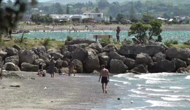 Napier, Hastings top 36C as gale-force winds cause damage, fan fires