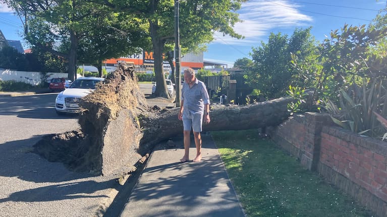 Bill Hainstock stands next to the tree that fell onto the front of his Papanui home.