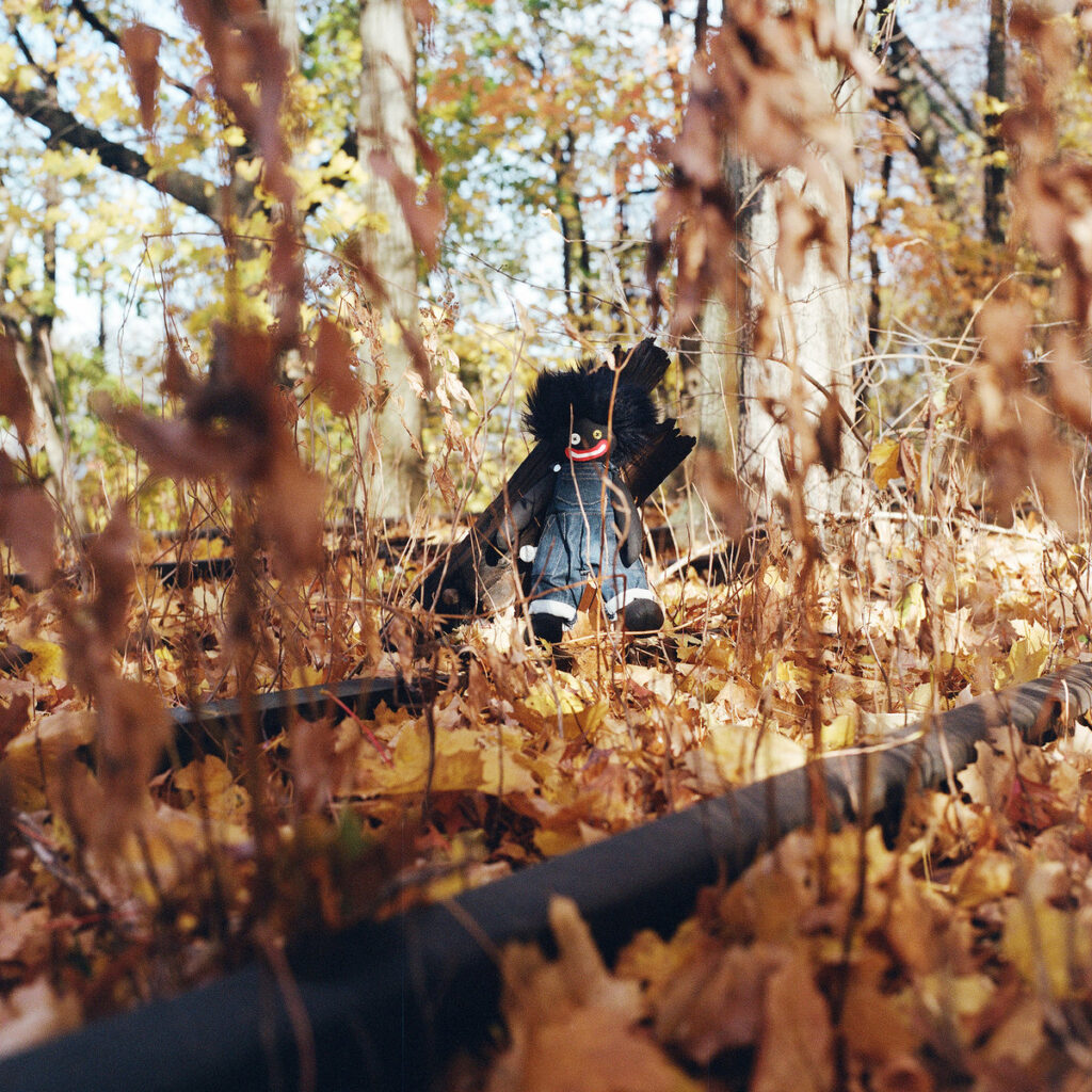 billy woods - GOLLIWOG | Review