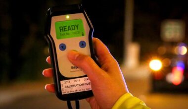 'Yelling and screaming': Dunedin man arrested as girlfriend underwent breath test