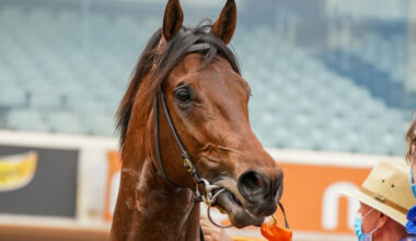 Anamoe was destined to be a