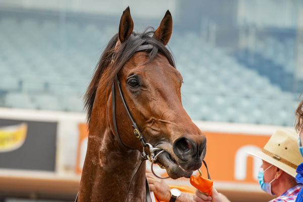 Anamoe was destined to be a