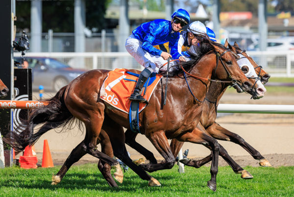 Anamoe wins the G1 Might and Power - image Grant Courtney