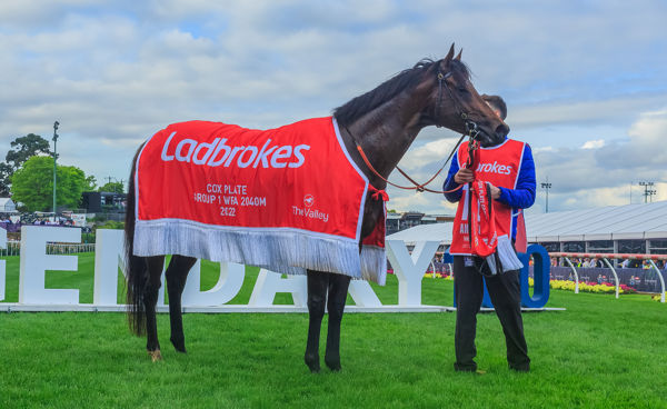 The 2022 Cox Plate was the crowning achievement for Anamoe - image Grant Courtney 