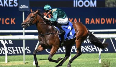 Espionage win the G3 ATC Kindergarten Stakes at two and has not run a place since then - Bradley Photos