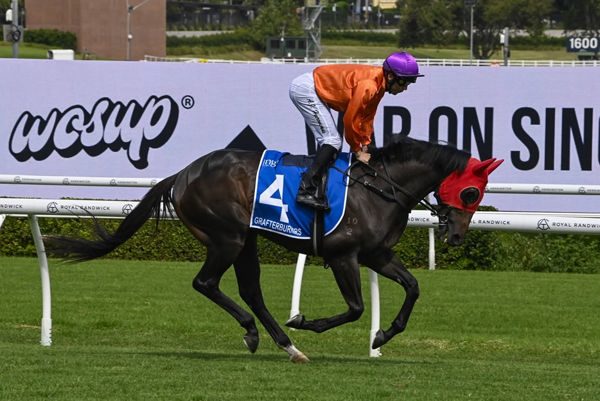 Grafterburners is fit and in form - image Bradley Photos