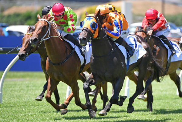 King's English (outside) winning at Ellerslie on Sunday. Photo: Kenton Wright (Race Images)