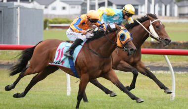 La Dorada winning the Gr.2 Levin Track Supporters Levin Classic (1400m) at Trentham on Saturday.  Photo: Peter Rubery (Race Images)