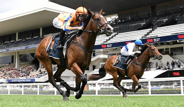 Group One-winning colt Return To Conquer (inside) has been retired. Photo: Kenton Wright (Race Images)