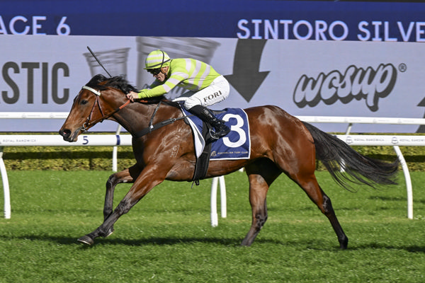 Savvy Hallie is the class runner - image Bradley Photos