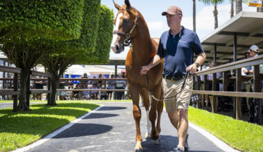 $1.5million Snitzel colt from Embrace Me (NZ) - image MM
