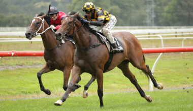 State The Obvious winning at Te Aroha on Saturday.  Photo: Kenton Wright (Race Images)