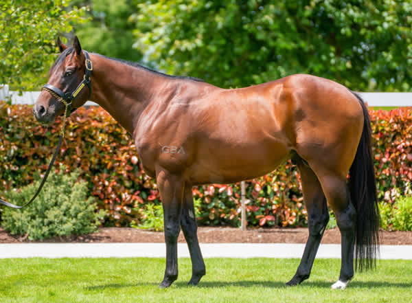 Sword of State, click for more info.