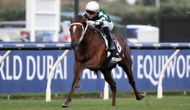 Well Written winning the $1.5 million TAB Karaka Millions 3YO (1600m) at Ellerslie on Saturday.  Photo: Kenton Wright (Race Images)
