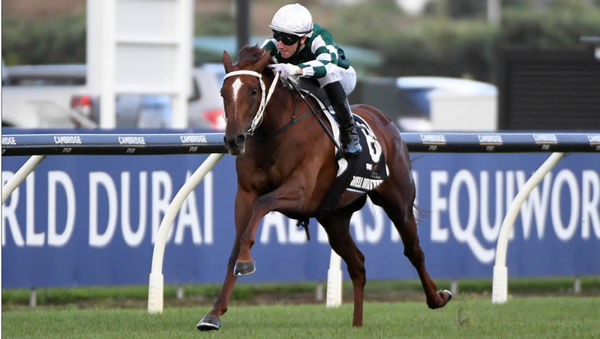 Well Written winning the $1.5 million TAB Karaka Millions 3YO (1600m) at Ellerslie on Saturday.  Photo: Kenton Wright (Race Images)