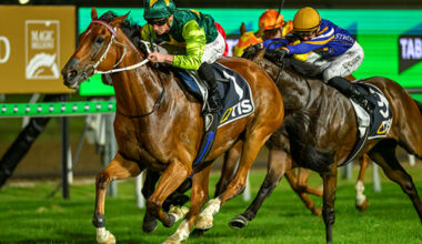 Yellow Brick wins the Magic Millions Quality  - image Magic Millions