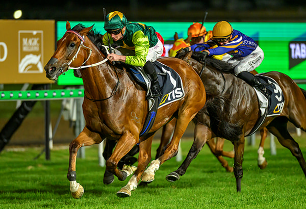 Yellow Brick wins the Magic Millions Quality  - image Magic Millions