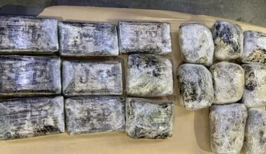 18kg of meth, cocaine seized at Port of Tauranga