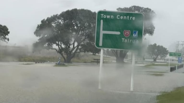 Buffalo Beach in Whitianga.