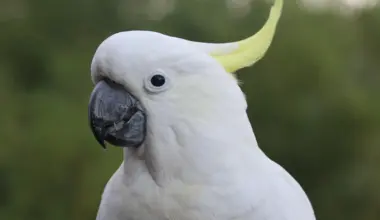 Yahoo lifestyle home