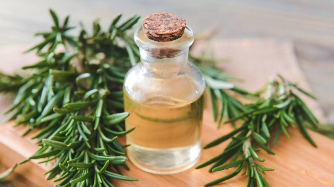 Can Rosemary Water Compete With Minoxidil?