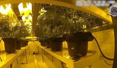 'Bunker' with secret elevator in Queensland cannabis operation