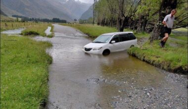 Wild weather downs trees, lines, floods roads