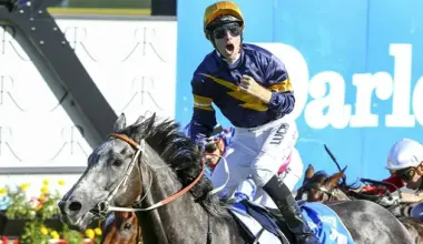 Our 25 best horses this century (Part 2)