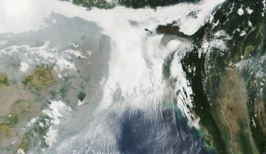 Ganges Delta Under a Winter Shroud of Fog