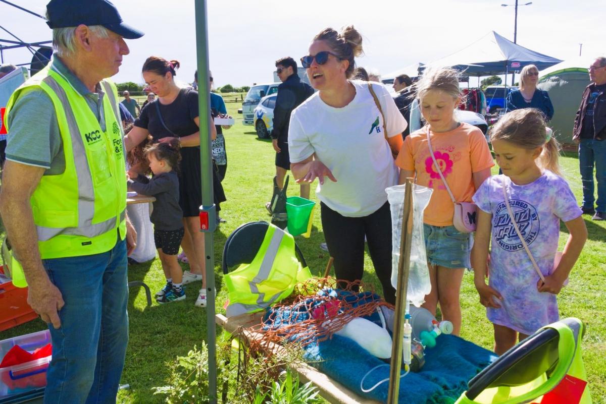 Penguins’ plight put front and centre