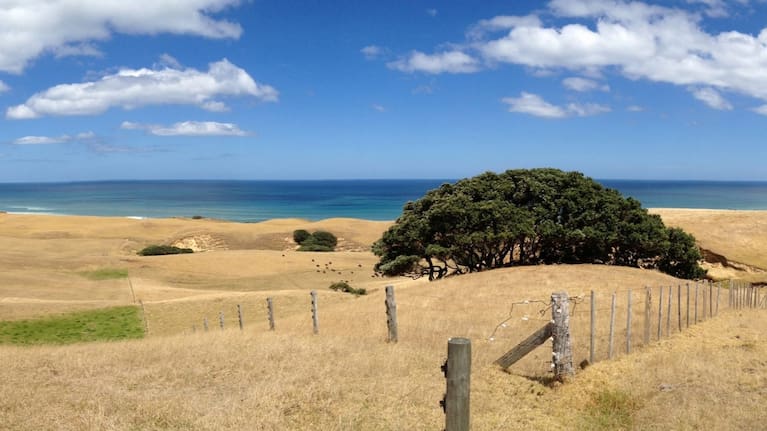 Drought is a significant and recurring hazard in Northland.