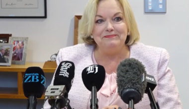 Judith Collins retiring as MP for law role