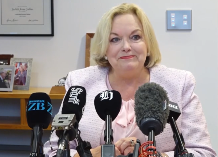 Judith Collins retiring as MP for law role
