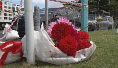 WorkSafe eyes campground safety after Mount Maunganui landslide