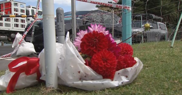 WorkSafe eyes campground safety after Mount Maunganui landslide