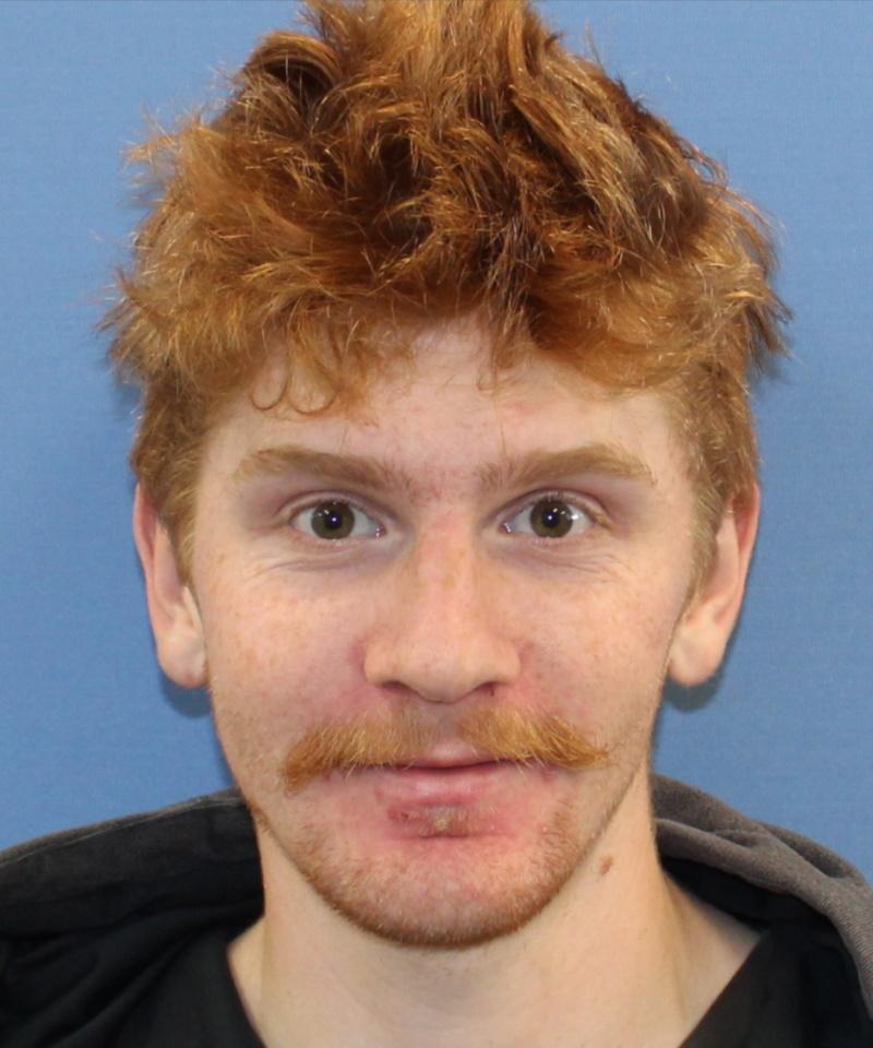 Dozens join search for missing Dunedin tramper