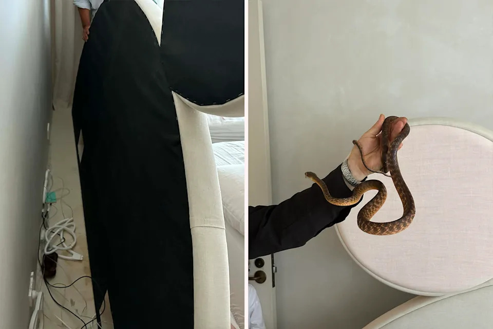 Left: Cords and rubbish behind the bed. Right: Chris holding the brown tree snake.