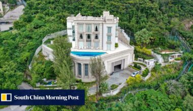 Wild boar carcass found near Li Ka-shing’s home in Hong Kong sparks brief scare